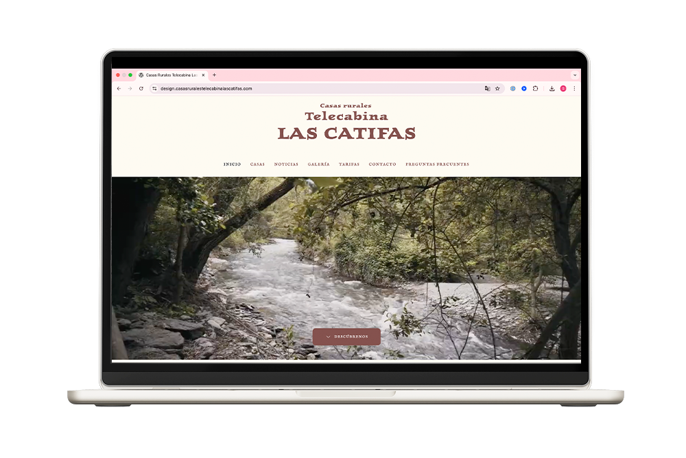 Ilustración de una chica subida a una escalera ajustando los elementos de una página web